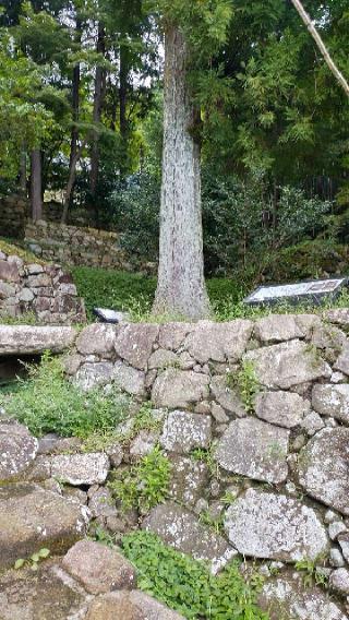 安土城の登城記録(桓騎さん)