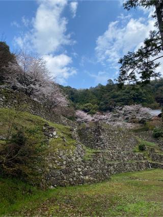安土城の登城記録(けん様さん)