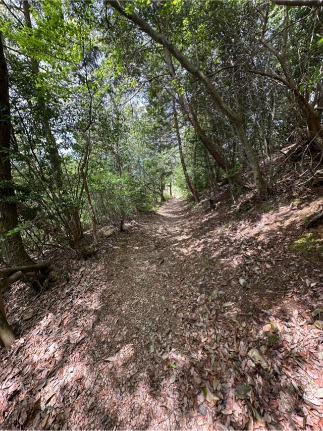 滋賀県長浜市湖北町伊部 小谷城の写真3