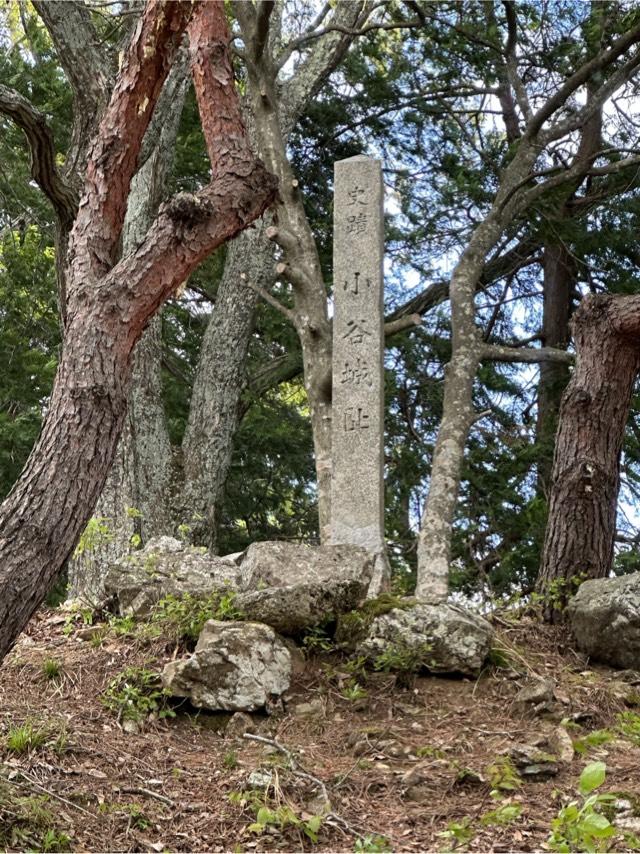 滋賀県長浜市湖北町伊部 小谷城の写真4