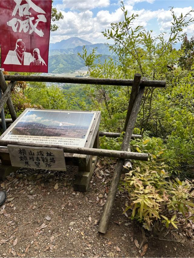 滋賀県長浜市湖北町伊部 小谷城の写真6