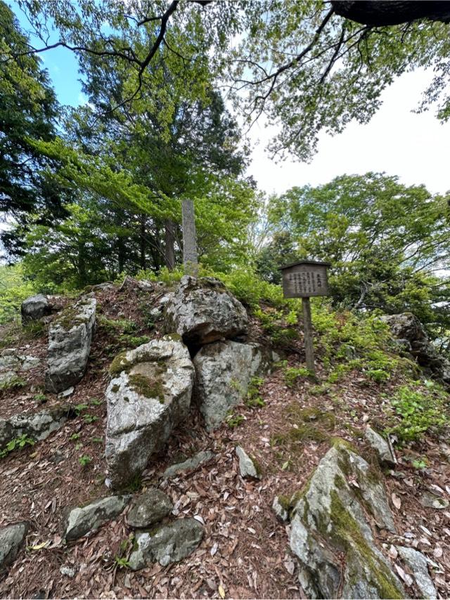 滋賀県長浜市湖北町伊部 小谷城の写真8