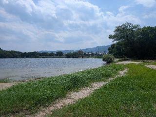 坂本城の登城記録(千　百万さん)