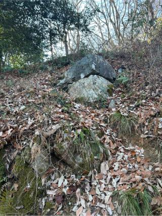 佐和山城の登城記録(かのんさん)