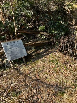 佐和山城の登城記録(かのんさん)