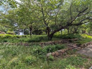 膳所城の登城記録(千　百万さん)