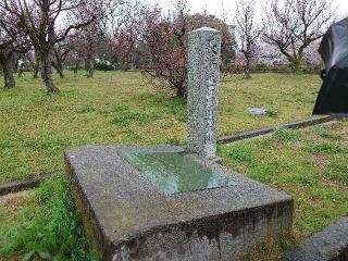 長浜城の登城記録(本多百助さん)