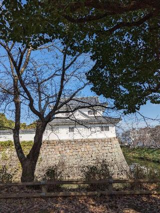 水口城の登城記録(はしおさん)