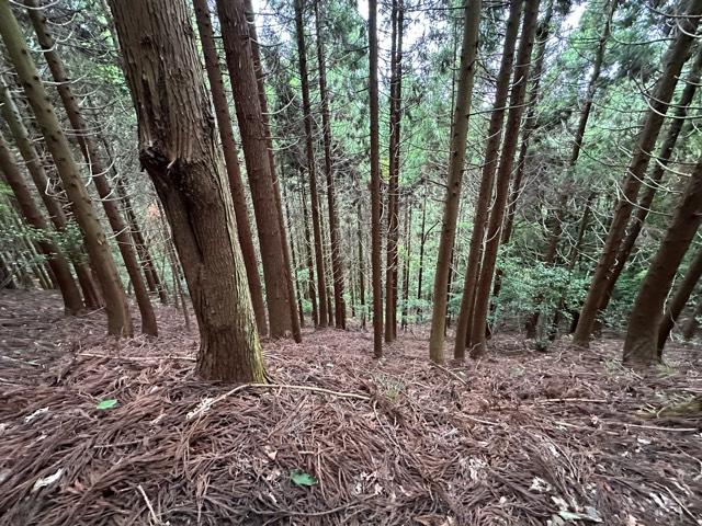 滋賀県米原市番場 鎌刃城の写真4