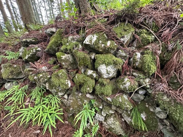 滋賀県米原市番場 鎌刃城の写真7