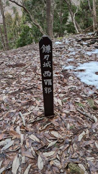 鎌刃城の登城記録(ニャン川さん)