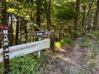 鎌刃城の登城記録(yasuさん)