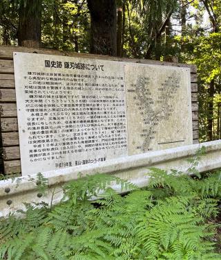 鎌刃城の登城記録(yasuさん)