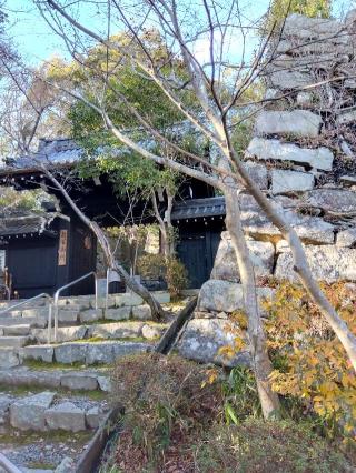 八幡山城の登城記録(ゴン太さん)