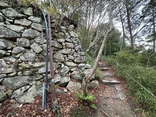 八幡山城の登城記録(清正さん)