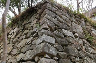 八幡山城の登城記録(こにーさん)
