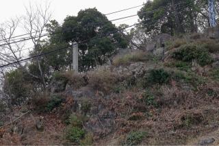 八幡山城の登城記録(こにーさん)