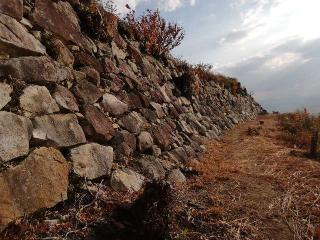 八幡山城の登城記録(じゅんぺいさん)