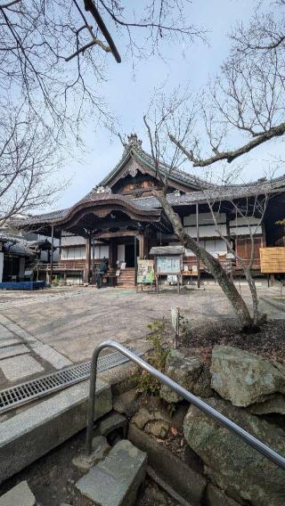 八幡山城の登城記録(ニャン川さん)