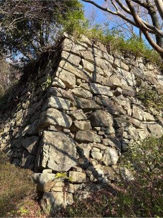 八幡山城の登城記録(Shimax さん)