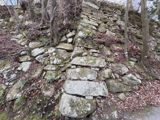 八幡山城の登城記録(Shimax さん)