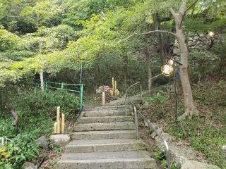 八幡山城の登城記録(年中飲兵衛さん)