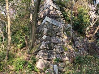 八幡山城の登城記録(名古屋 山三郎さん)