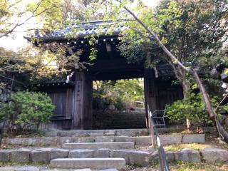 八幡山城の登城記録(名古屋 山三郎さん)