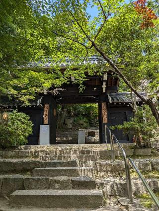 八幡山城の登城記録(はしおさん)