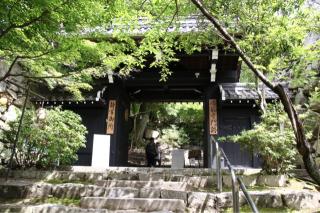 八幡山城の登城記録(yasuさん)