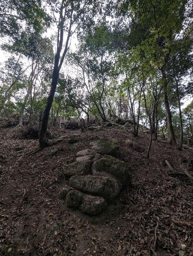 滋賀県大津市錦織町487 宇佐山城の写真4