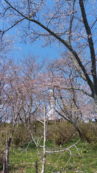 船岡城の登城記録(ひろ神社仏閣さん)