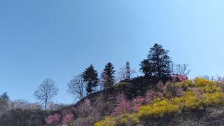 船岡城の登城記録(ひろ神社仏閣さん)