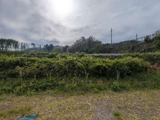 朽木谷城（朽木陣屋）の登城記録(千　百万さん)