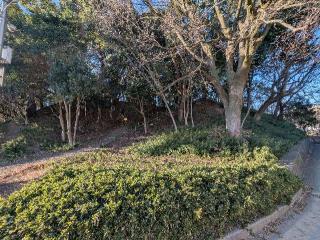 山科本願寺の登城記録(千　百万さん)