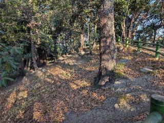 山科本願寺の登城記録(千　百万さん)