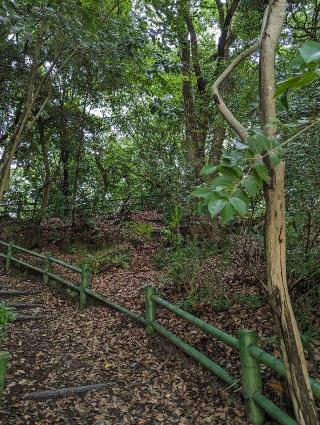 山科本願寺の登城記録(はしおさん)