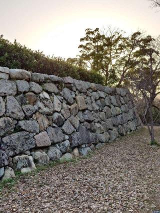淀城の登城記録(気分は上昇さん)