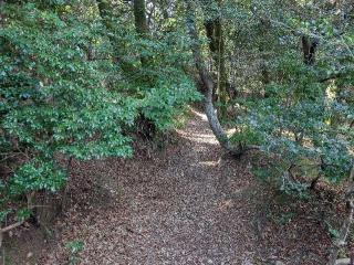 船岡山城の登城記録(千　百万さん)