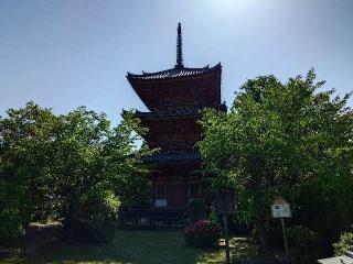 山崎城の登城記録(本多百助さん)