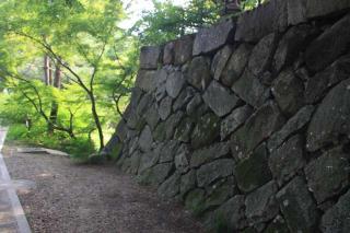亀山城の登城記録(りょうまさん)