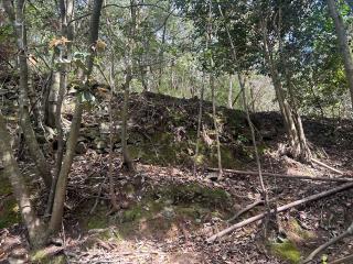 八木城の登城記録(かのんさん)