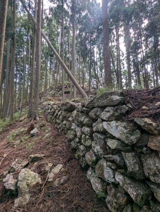 周山城の登城記録(こびのもぐらさん)