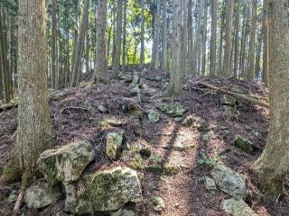 周山城の登城記録(こびのもぐらさん)