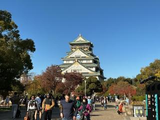 大坂城（大阪城・錦城・金城）の登城記録(たいがさん)
