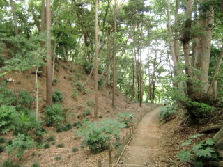 根木内城の登城記録(dougenさん)