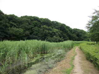根木内城の登城記録(dougenさん)