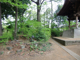 奥沢城の登城記録(dougenさん)