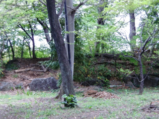 奥沢城の登城記録(dougenさん)