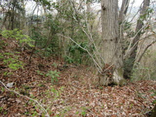 網代城の登城記録(dougenさん)